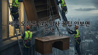 제주 오등동 원룸이사 꿀팁🍯 안보면 손해!
